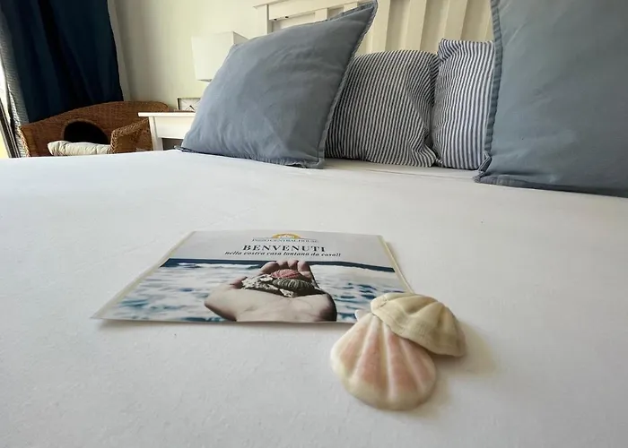 House 住宿加早餐酒店 3*